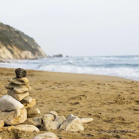 Daire Kantouni Svoronata